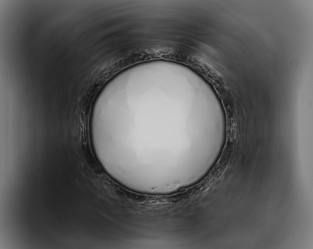 X0000094080917200711161604