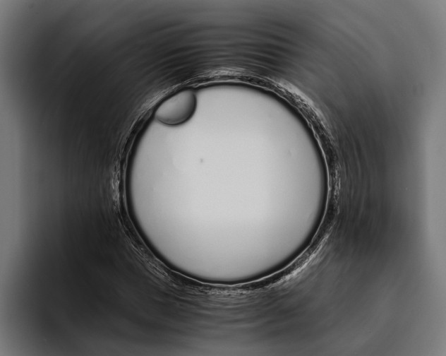 X0000094080921200711161604