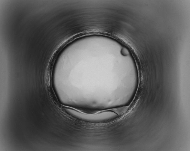 X0000094080925200711161604