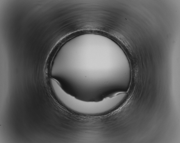 X0000094080926200711161604