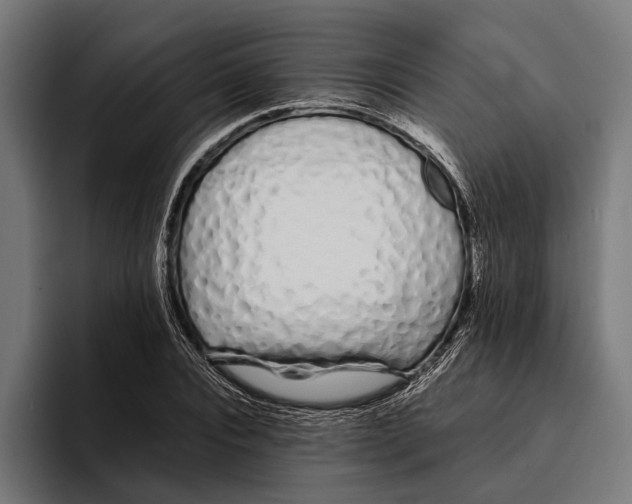 X0000094080928200711161604