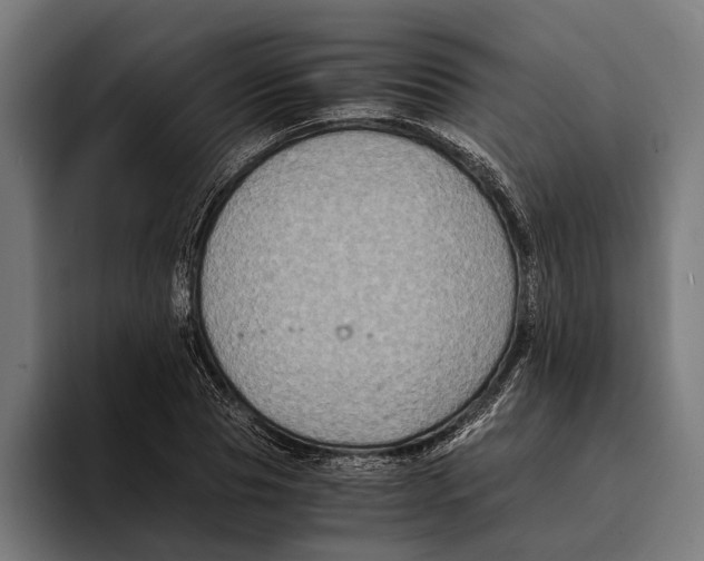 X0000094080929200711161604