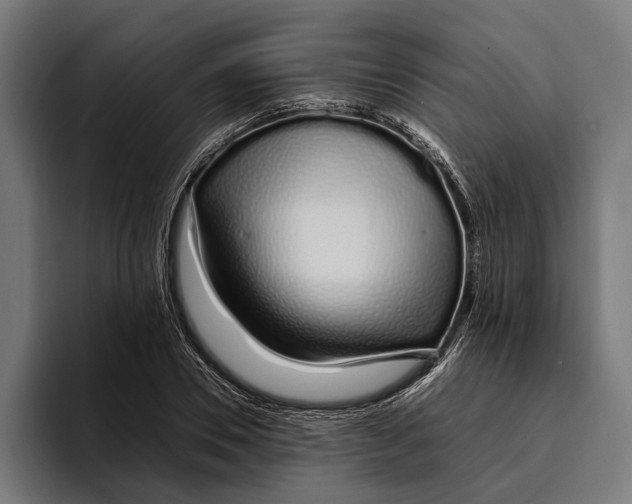 X0000094080930200711161604
