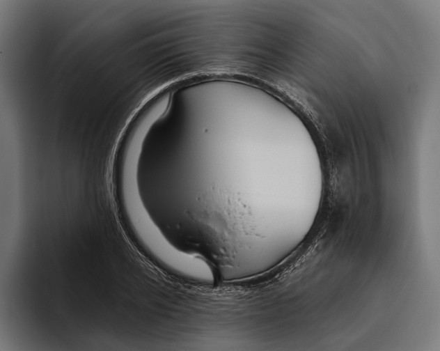 X0000094080934200711161604