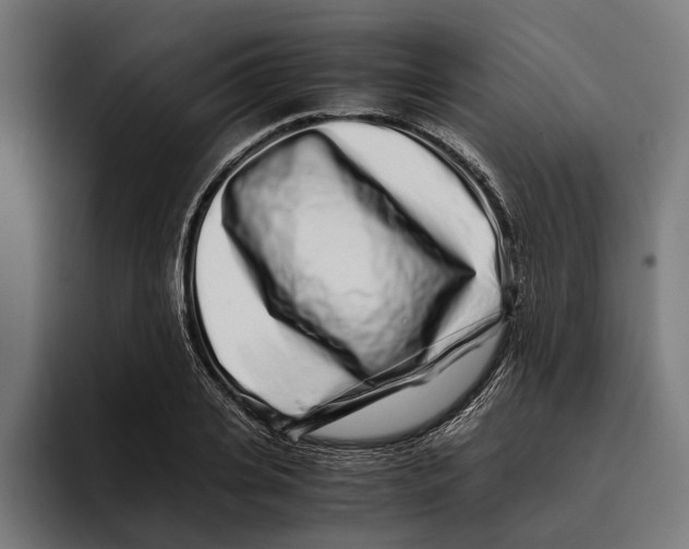 X0000094080935200711161604