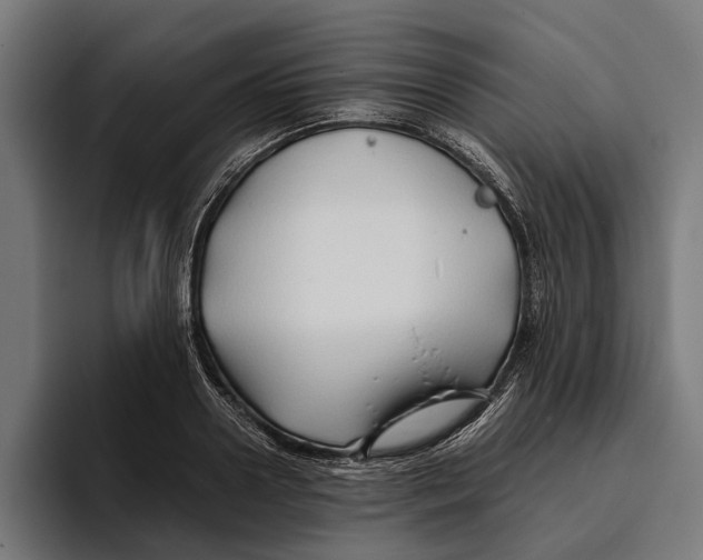 X0000094080938200711161604