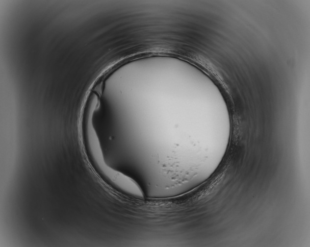 X0000094080939200711161604