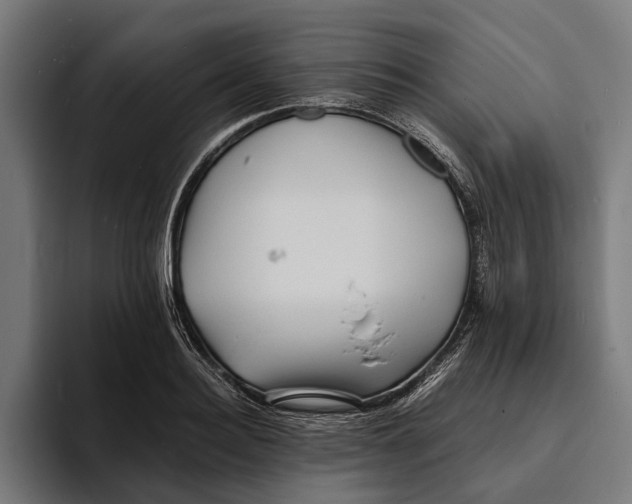 X0000094080940200711161604
