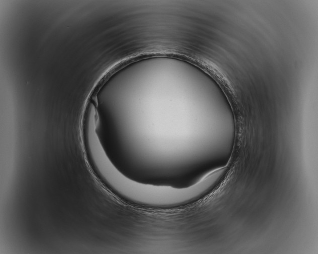 X0000094080942200711161604