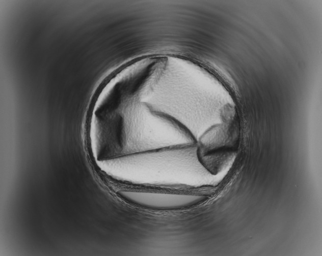 X0000094080944200711161604