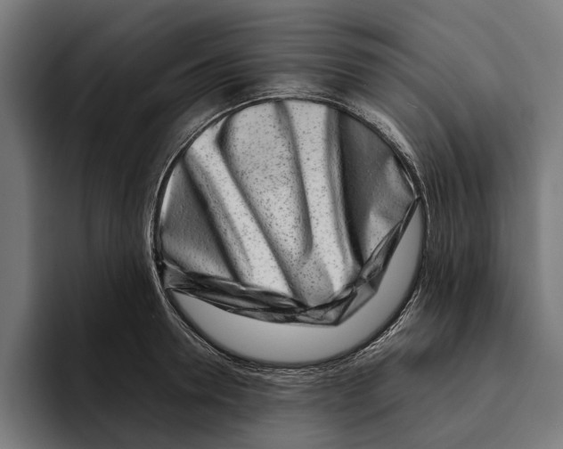 X0000094080946200711161604