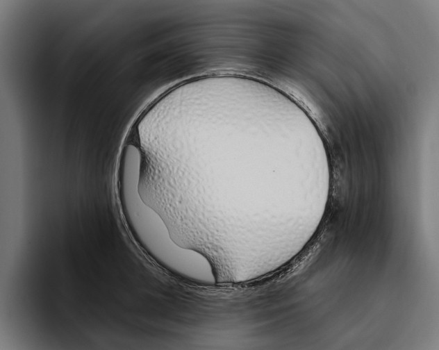 X0000094080948200711161604