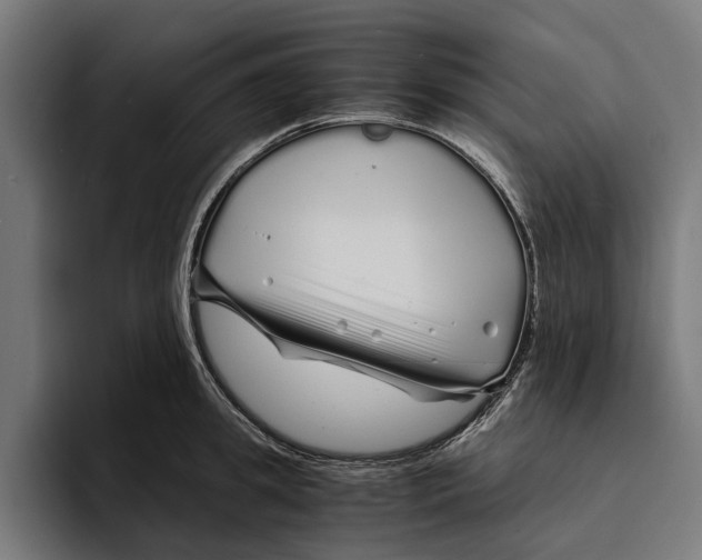 X0000094080949200711161604
