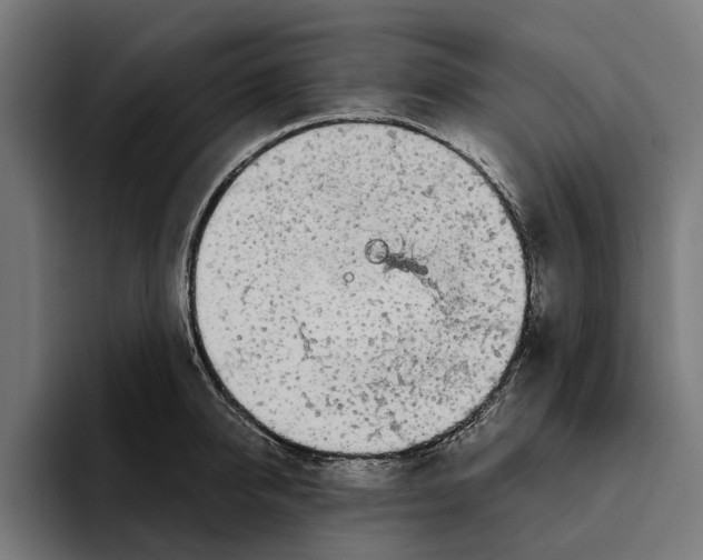X0000094080950200711161604