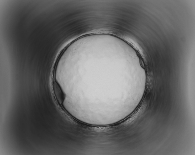 X0000094080952200711161604