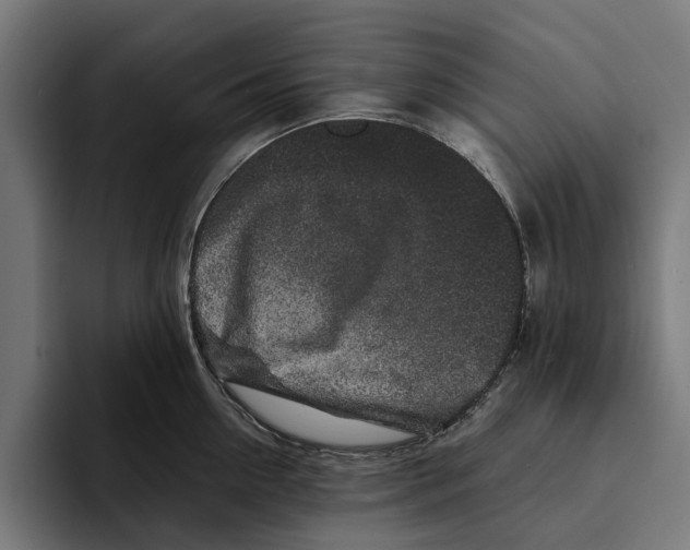 X0000094080954200711161605
