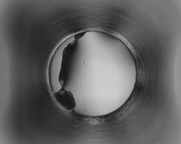 X0000094080955200711161605