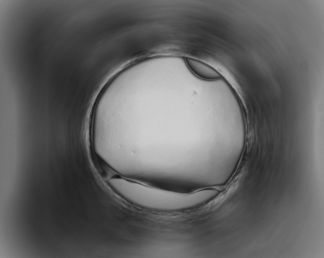 X0000094080957200711161605