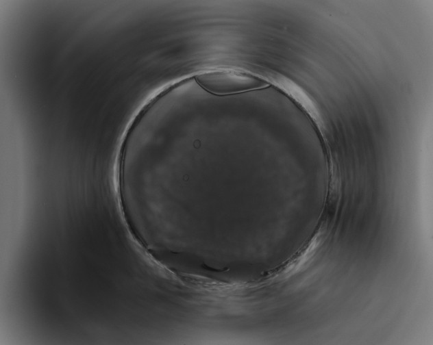 X0000094080958200711161605