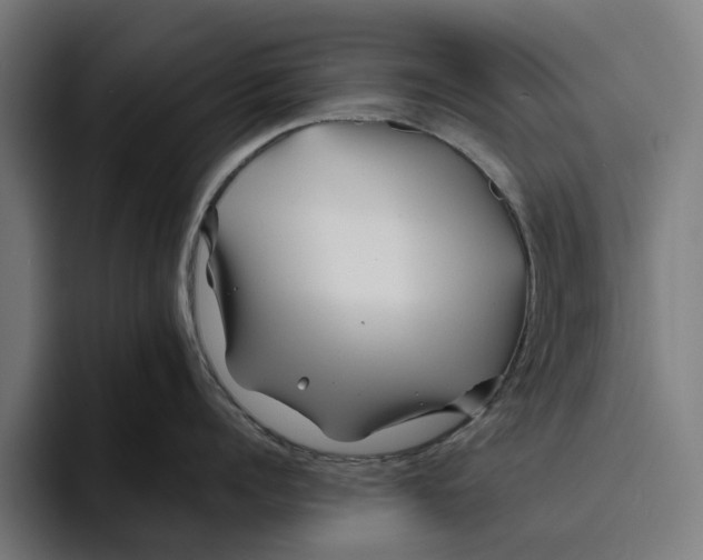 X0000094080960200711161605