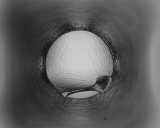 X0000094080963200711161604