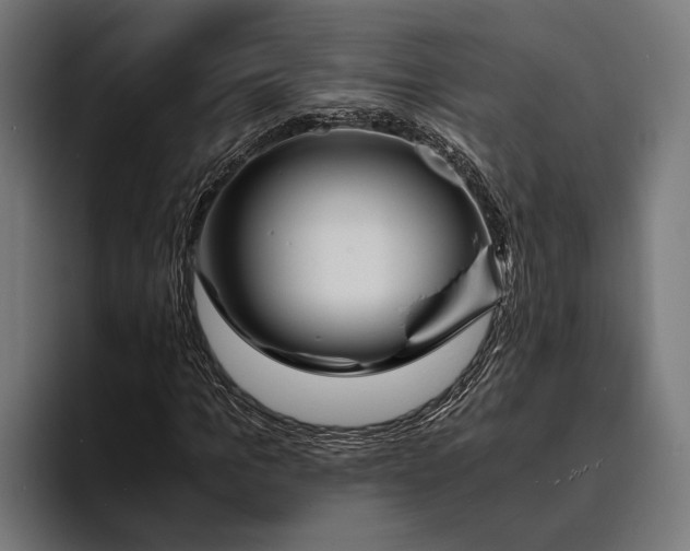 X0000094080965200711161604