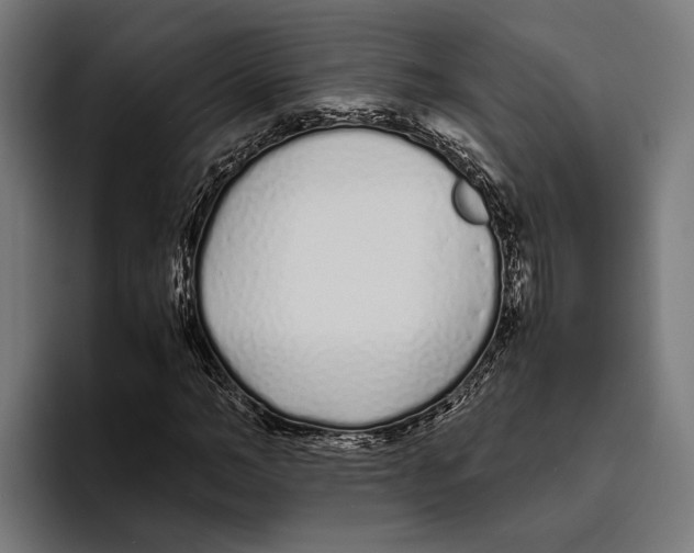 X0000094080966200711161604