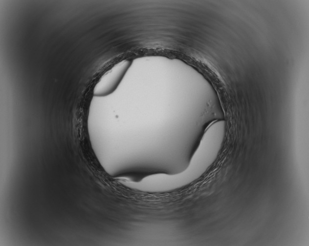 X0000094080968200711161604