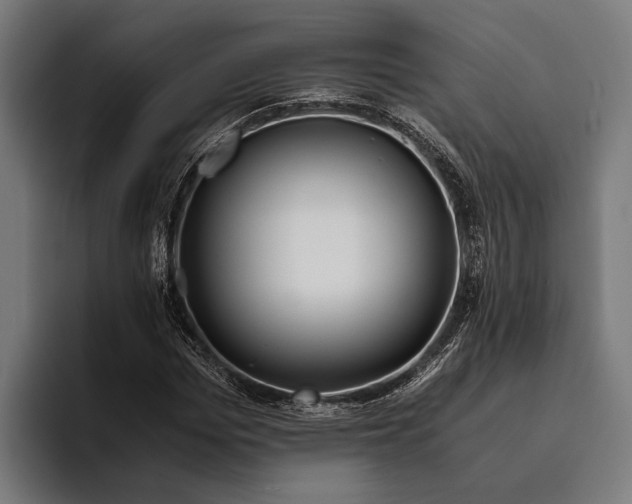 X0000094080969200711161604