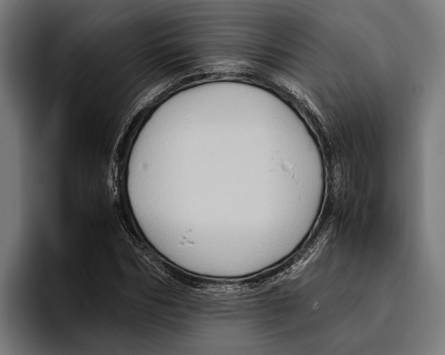X0000094080970200711161604