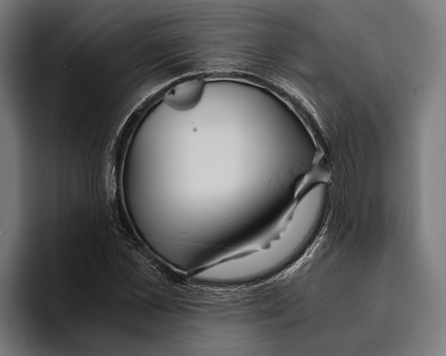 X0000094080973200711161604