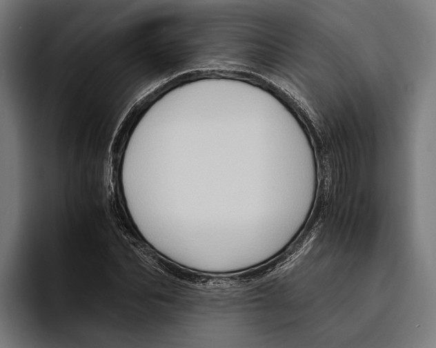 X0000094080974200711161604