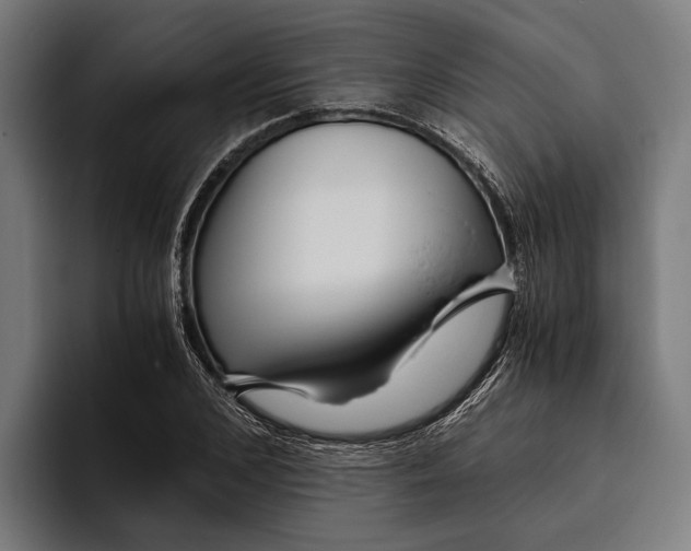 X0000094080976200711161604