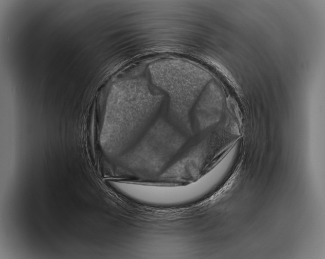 X0000094080977200711161604