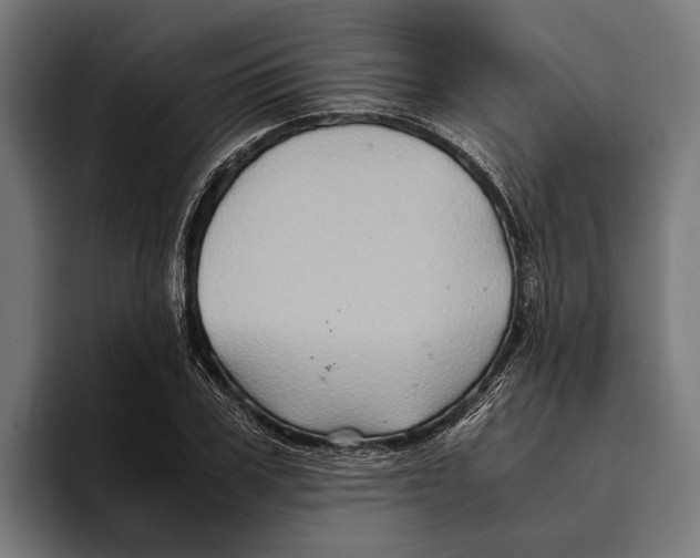 X0000094080979200711161604
