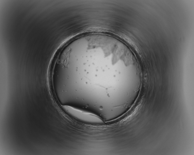 X0000094080981200711161604