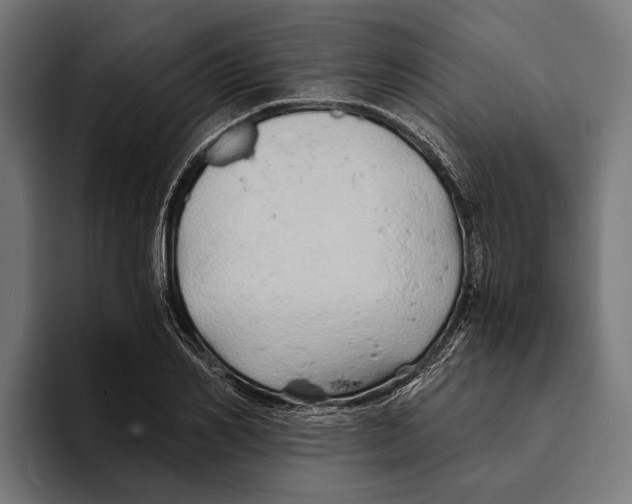 X0000094080982200711161604