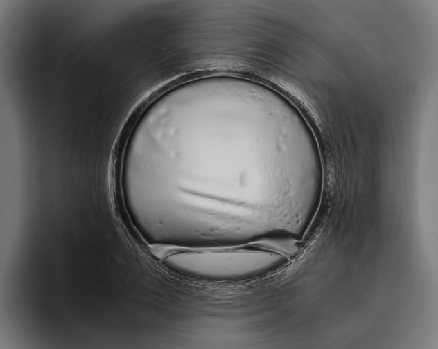 X0000094080983200711161604