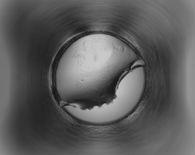 X0000094080984200711161604