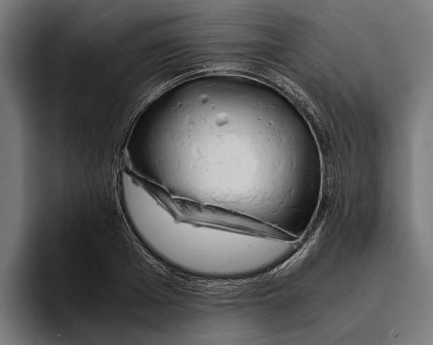 X0000094080985200711161604