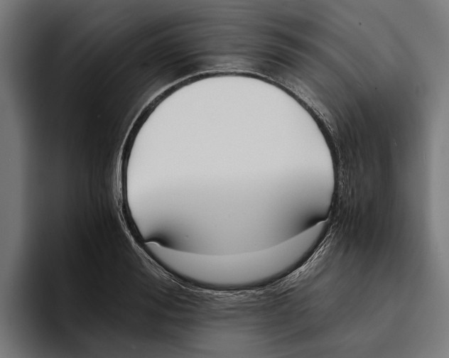 X0000094080988200711161604