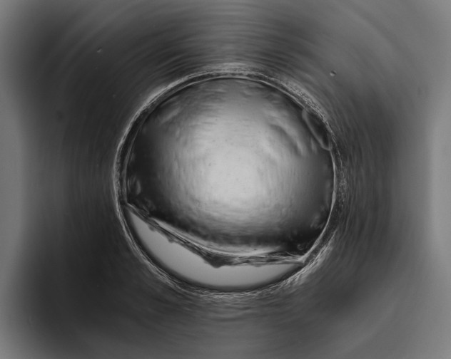 X0000094080989200711161604