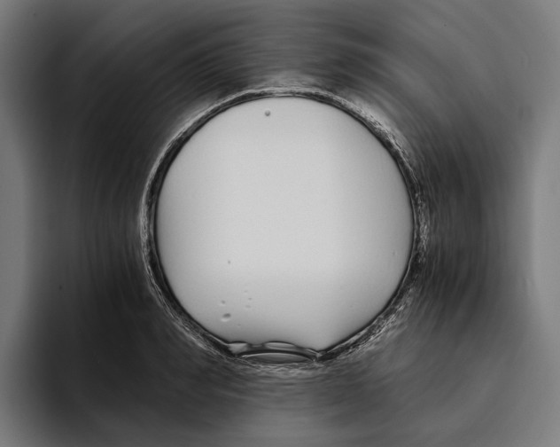 X0000094080990200711161604