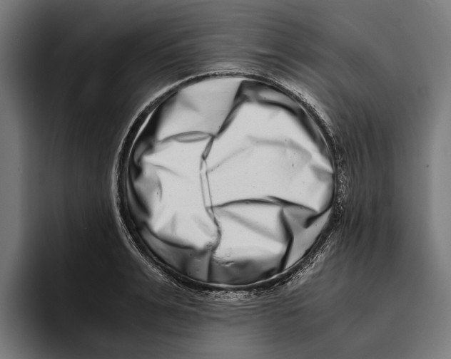 X0000094080991200711161604