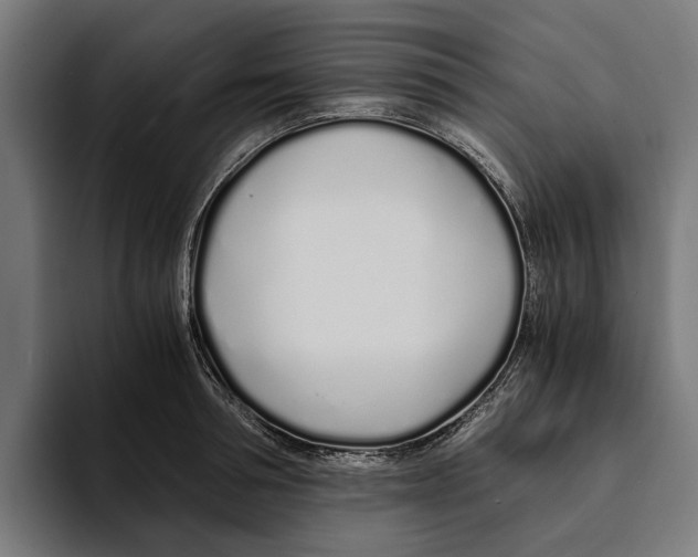X0000094080994200711161604