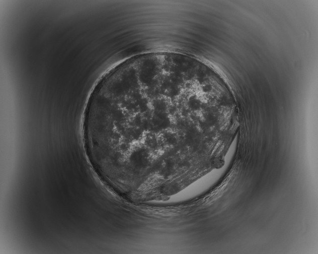 X0000094080995200711161604