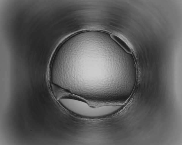 X0000094080996200711161603