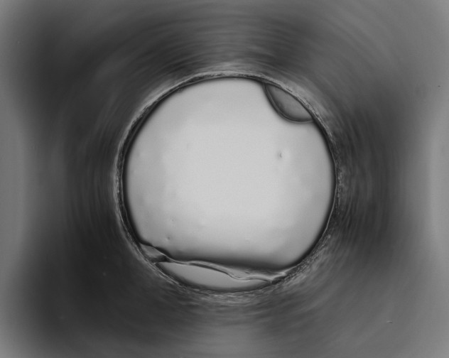 X0000094080998200711161603