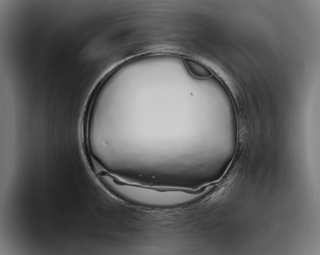 X0000094080999200711161603