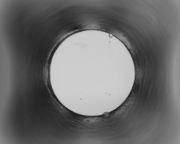 X0000094081000200711161603